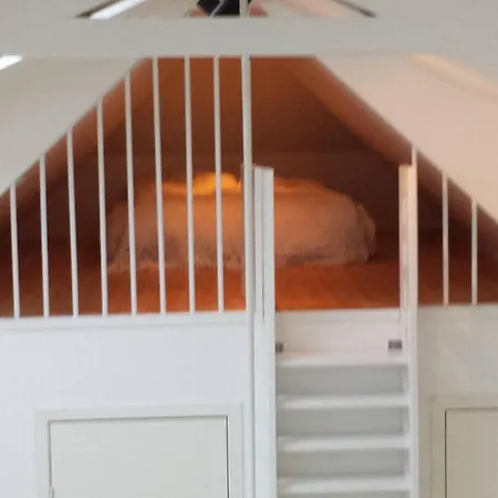 Beautiful In The Centre Of Apartament